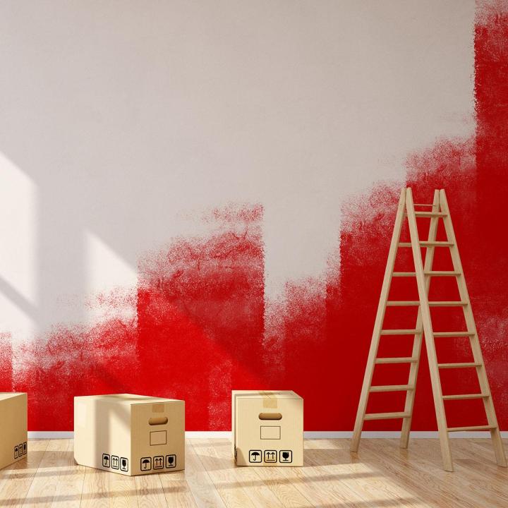 Rénovation de peinture Bayonne